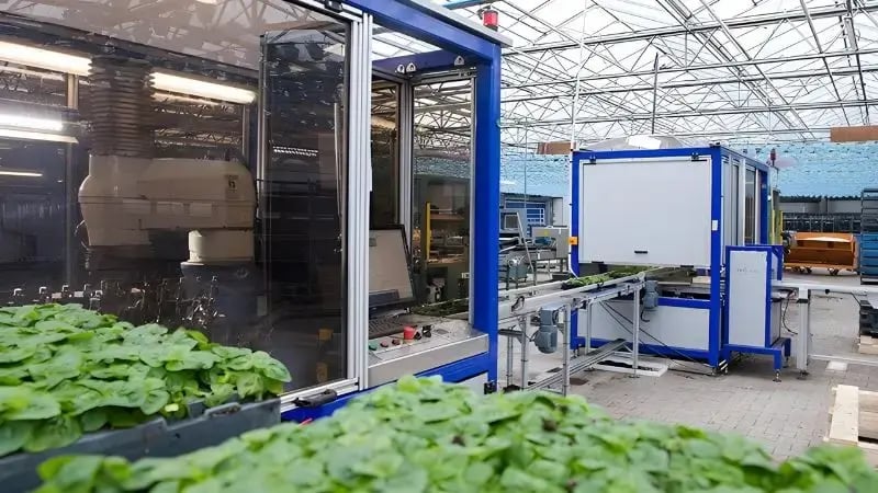 ISO Vision Planter machine used for transplanting