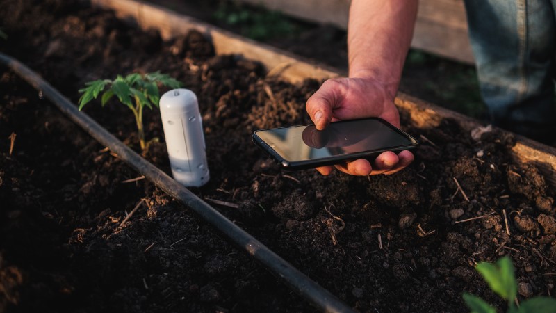 farmer using mobile app checking monitoring soil moisture with smartphone