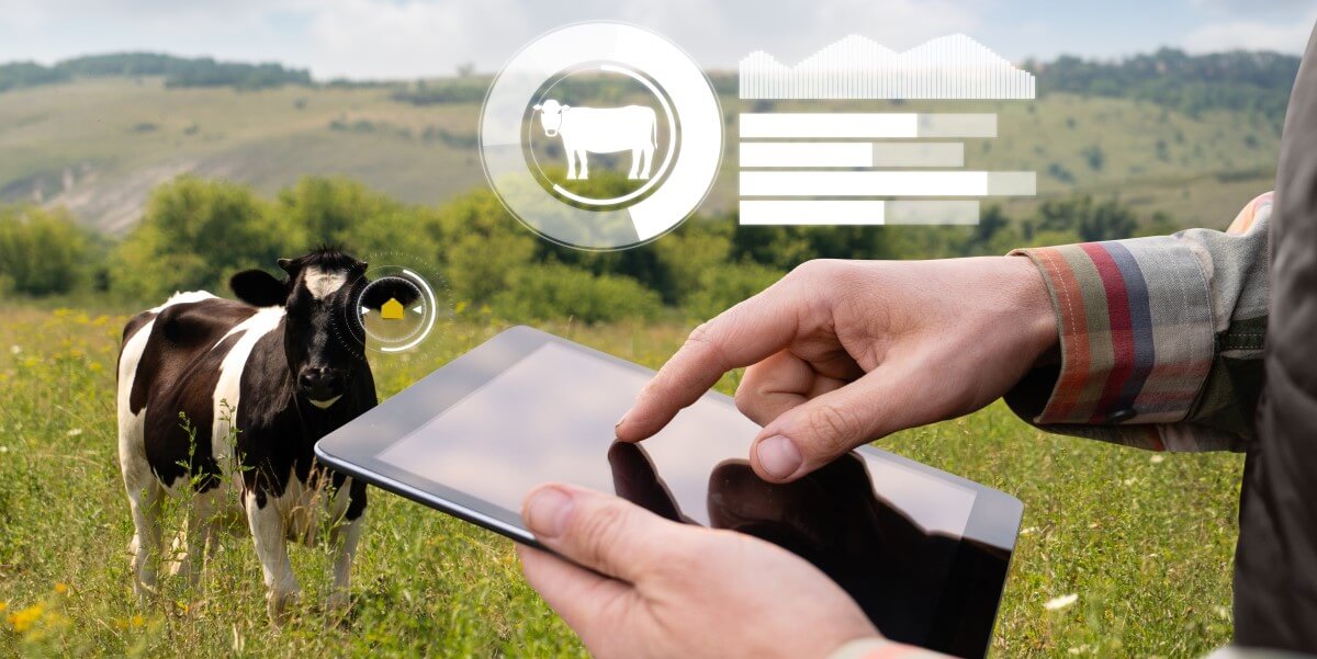 12 precision livestock farming companies driving agtech innovation