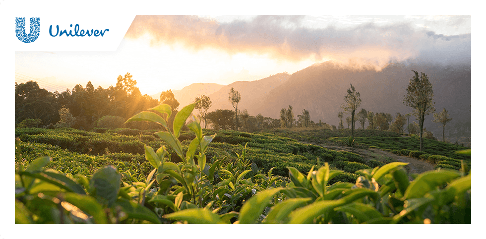 Industrialising home brewing systems for Unilever